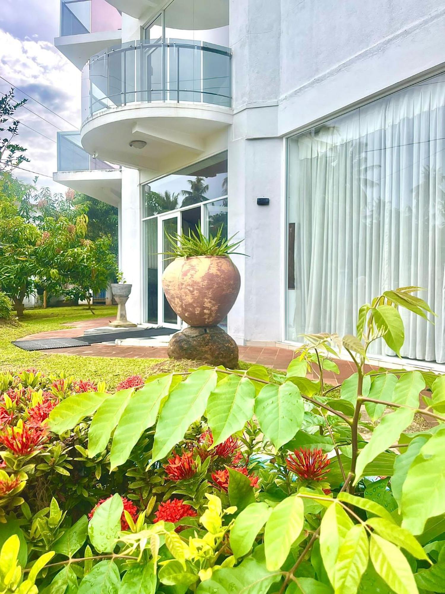 Amaya Beach Hotel Dikwella ภายนอก รูปภาพ